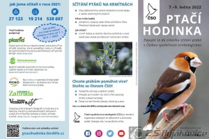 ptaci-hodinka-1