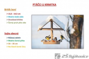 ptaci-hodinka-6