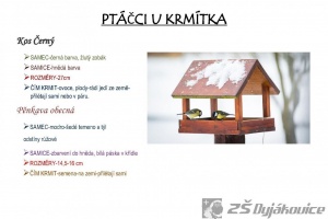 ptaci-hodinka-8