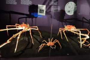 026337e5-109f-4c4d-aac4-668db9ed99d8