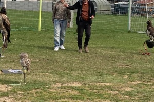 03af6b79-f3e7-4844-beb5-ca1fa1904d15