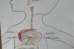 04468a2e-8501-4bf1-8ab3-75b7c6ea9b54