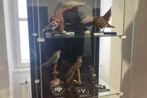 0f6e56a9-911b-4c2f-8fea-2630a581eec5