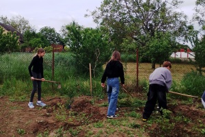 Sedmáci na školní zahradě pomáhali s péčí o ovocné keře