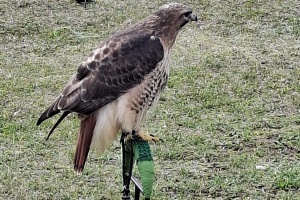 185e8bd3-bf20-4f4c-b5b8-6eedf7047483