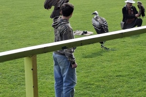 19bf315c-e3e8-4be5-be3e-a9f0767d6994