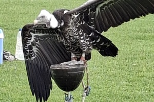 1a8fe7ef-d0e9-45ef-99d6-194136fb6cde