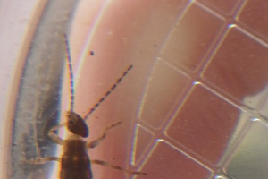 20260619_111028