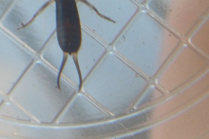 20260619_111037