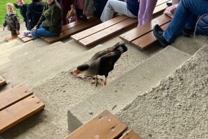 29937aba-99ad-410e-925d-27eb32e689af