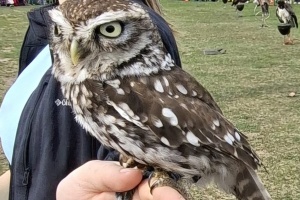 34cde8d4-6e1e-4afa-808c-f1100a07eebd