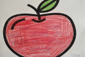 Jablko - pětilístek - 2. třída