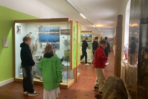 37c1affc-1fd0-4f63-b580-37777d3f8b28