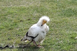 3ac5091b-e6fd-419b-8903-0bc6e7fa354c