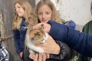 47381b9b-7dba-426f-99a2-e327c7b1debf