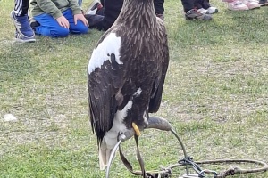 4ceb885a-29b2-4343-9b3e-0dc5b8d939d1