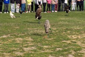 4e3ee04a-5d11-456a-b663-8bff19ad56ef