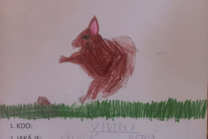 Veverka - pětilístek