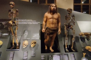 54a5f9c7-a3fc-4fb4-9bed-c7306312550f