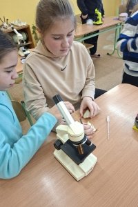 Laboratorní práce - rostlinná buňka