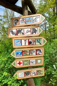 Návštěva ZOO Brno - 8. a 9. třída