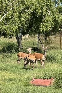 IMG_8269