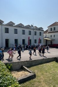 IMG_8298