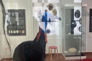 905671a6-4387-4652-b97f-cce4b708cab3