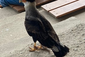 9190d29e-bf49-4828-95ff-d543b0e3184a