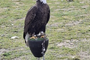 927aa6c8-372a-40e9-97c6-0de9a4f2caa9