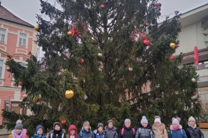 Vánoční edukační program - 2. třída