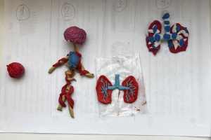 Soutěž - 5. třída