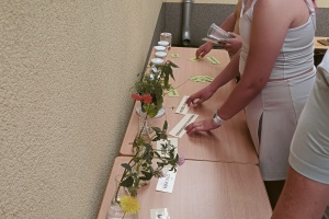 28