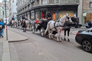 9dbe9904-386c-4fc8-a186-956f3f20b051