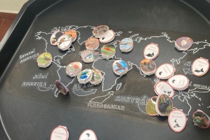 a8e3ce82-770e-420f-99a2-afa12a7b116c