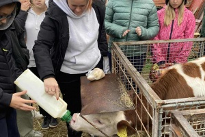 a9359324-472c-432d-a39b-d262c56b638c