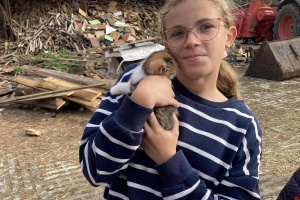 adc5fd9a-8d6d-4bea-b3e0-70a154082723