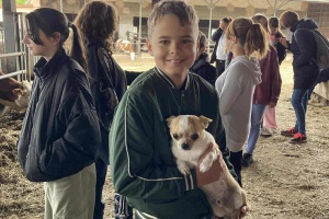 b011ad52-1cd8-4317-9717-da504525c30a