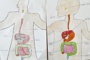 Páťáci a cesta za tajemstvím trávení