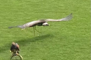 ba38cccb-a875-4ec4-9dac-79eedf8398b1