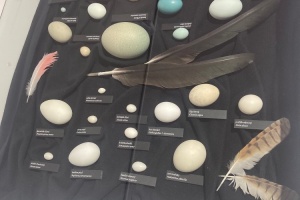 c613bf78-5431-4ebd-b9d3-8573681df594