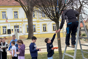 d2af26c3-8a5d-4f0d-90c9-99d3bd227b9e