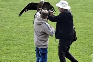 d8690603-bf41-403a-ae45-d7fbcc9fafc3