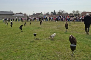 de07a138-5f36-4e1e-88f3-579b53a9b357