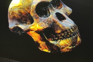 defa71a3-5a98-4b63-a989-c6c21b7b22a7