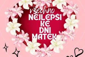 Den matek 5