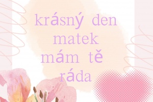 Den matek 9
