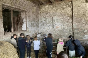 dfb02dd9-b670-4dd1-b942-487272044c03