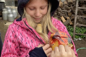 e52f1643-0d36-47f4-a588-54c699f1b423