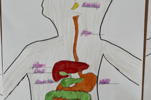 eb8dcf11-2c55-4bb5-9001-93f72833a252